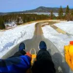 alpine slide