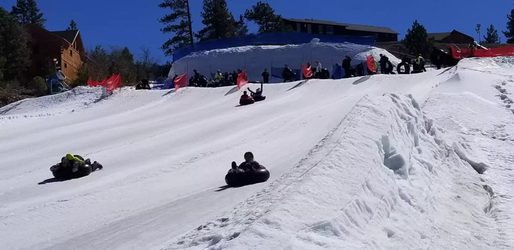 alpine slide